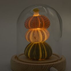 Alternative view of Floral Glow Garden Dome - 3 Sea Urchins - LED USB
