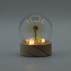 Alternative view of Floral Glow Garden Dome - 1 Dandilion- LED Battery