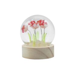 Floral Glow Garden Dome - 5 Red Roses - LED Battery